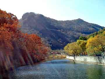 新澳天天开奖资料大全旅游团，龙虾养殖培训